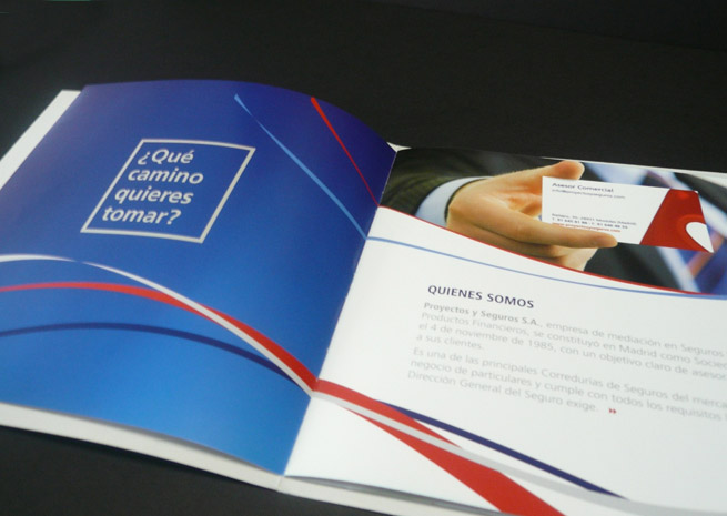 Detalle interior del folleto de presentacion de Proyectos y Seguros